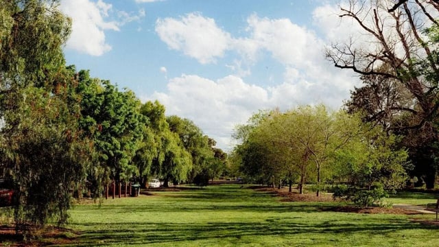 Lush green lawn lined by trees exterior at The Archive - Residential Living in Melbourne Student Accommodation