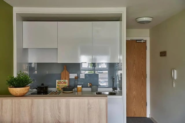 Countertop stove sink plant and cabinets kitchen at Selly Oak Court in Birmingham Student Accommodation