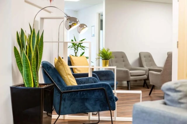 Blue armchairs yellow pillows plants sofa living room at Hollingbury House in Brighton Student Accommodation