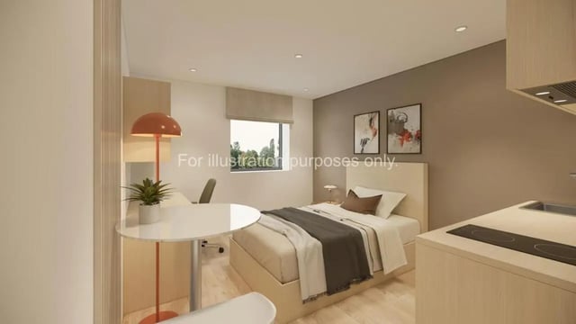 Bed desk lamp paintings and kitchen area bedroom at Stellaris in Cambridge Student Accommodation