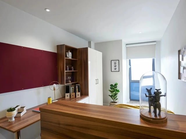 Desk shelves wardrobe plant and dome study area at Central Studios Reading in Reading Student Accommodation