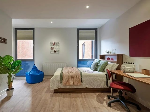 Bed desk plant beanbag windows bedroom at Central Studios Reading in Reading Student Accommodation