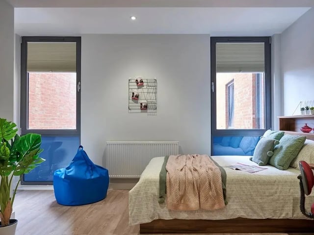Bed with blankets blue beanbag plant bedroom interior at Central Studios Reading in Reading Student Accommodation