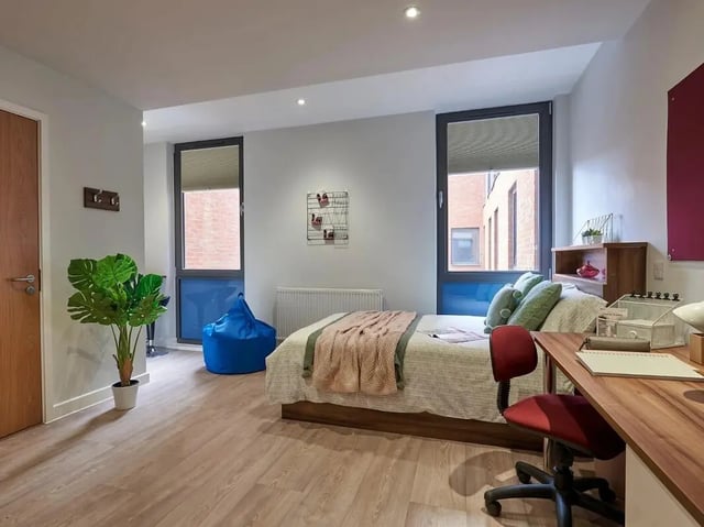 Bed desk plant blue beanbag bedroom at Central Studios Reading in Reading Student Accommodation