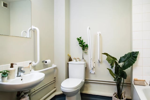 Sink toilet grab bars plants bathroom at Purbeck House in Bournemouth Student Accommodation