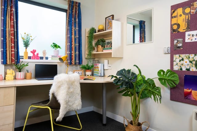 Desk chair laptop plants and shelf study area at Purbeck House in Bournemouth Student Accommodation