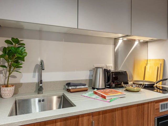 Sink kettle toaster plant books pans kitchen at Straits Garden in Egham Student Accommodation