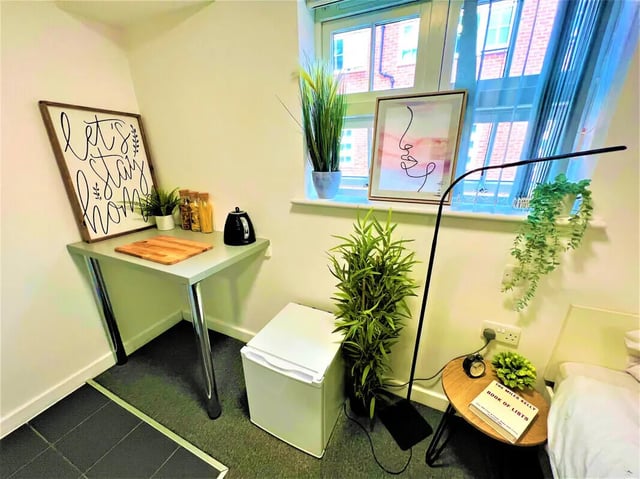 Table kettle mini fridge plants art Bedroom at Tudor Studios in Leicester Student Accommodation