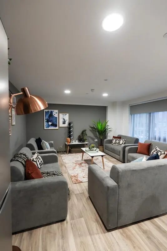 Grey sofas coffee table artwork and plant living room at Steelworks in Sheffield Student Accommodation