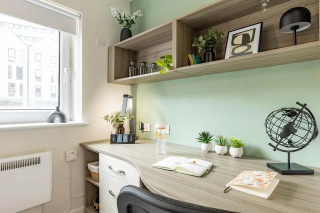Desk with globe lamp plants and notebooks study area at Hamwic Hall in Southampton Student Accommodation