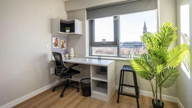 Desk chair plant and window Study area at Clyde Court in Glasgow Student Accommodation