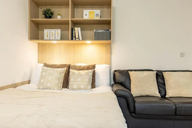 Bed couch shelves books plant framed art bedroom at Iron Bridge Studios in Exeter Student Accommodation