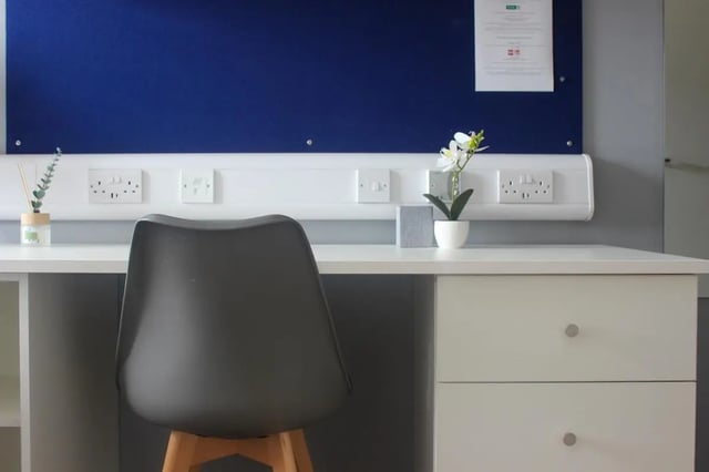 Desk chair plant and sockets study area at The Bridge Guildford in Guildford Student Accommodation