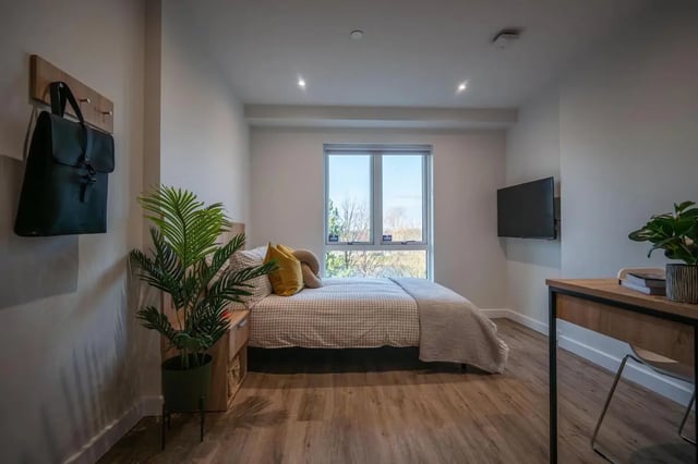 Bed plant desk and TV bedroom at The Sail Works in Lancaster Student Accommodation