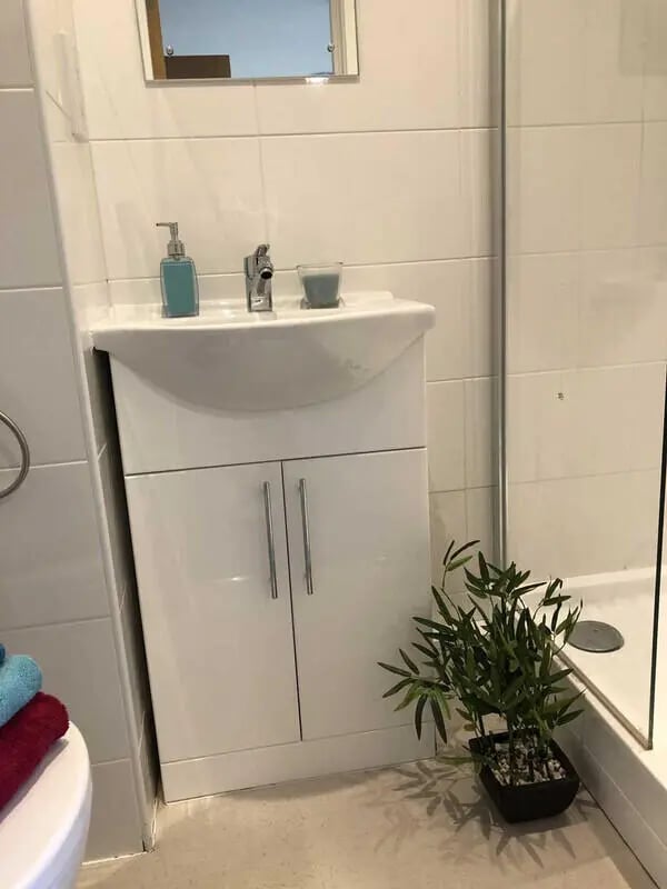 Sink with cabinet soap dispenser plant bathroom at Plato House in Liverpool Student Accommodation