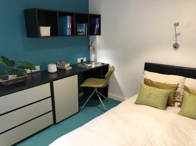 Desk chair plant and bed bedroom at Plato House in Liverpool Student Accommodation