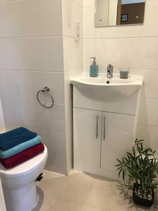 Toilet sink cabinet and plant bathroom at Plato House in Liverpool Student Accommodation