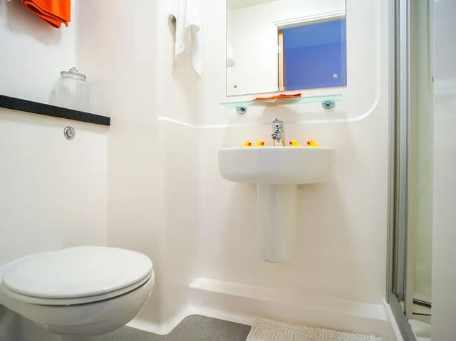 Toilet sink mirror and rubber ducks bathroom at Beaverbank Place in Edinburgh Student Accommodation