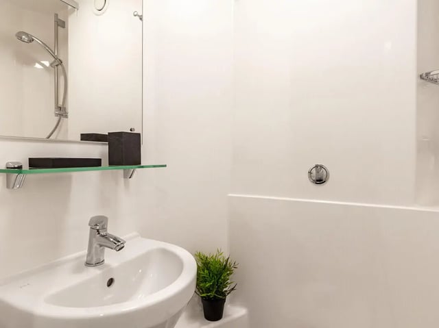 Sink shower mirror and plant bathroom at Straits Village in Nottingham Student Accommodation