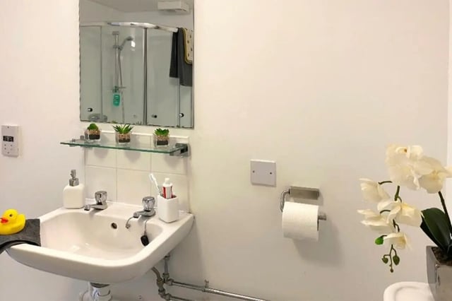 Sink mirror toilet roll and plant bathroom at The Cube - Loughborough in Loughborough Student Accommodation