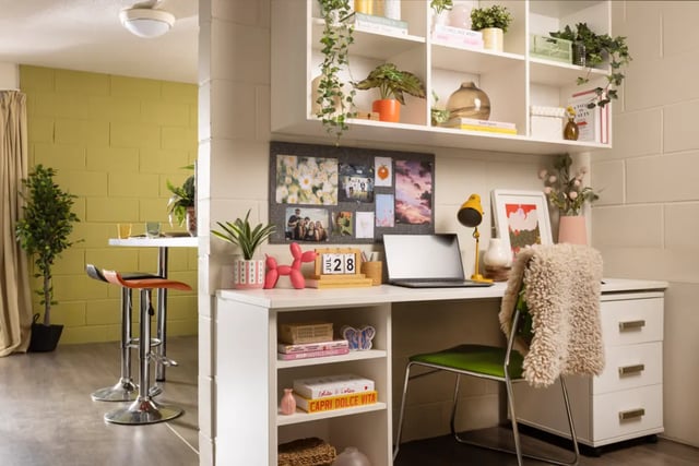 Desk with laptop plants and chair study area at Spring Gardens in Aberdeen Student Accommodation