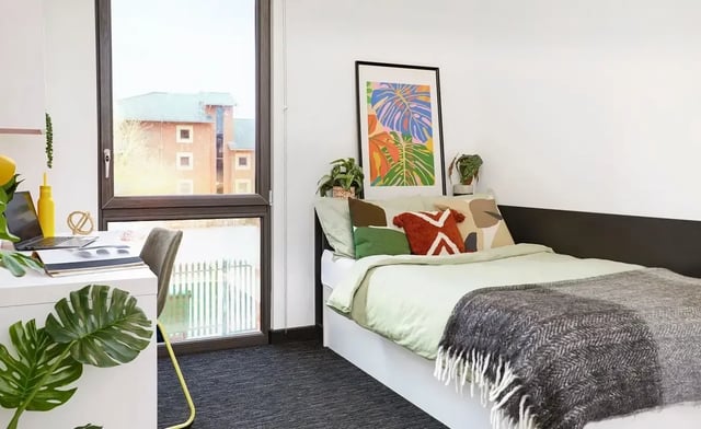 Bed desk plants and window bedroom at Beechenhurst House in Birmingham Student Accommodation