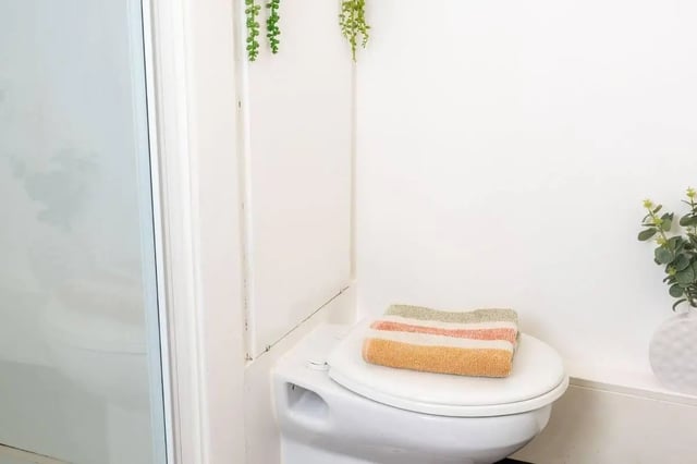 Toilet with striped towels and plants bathroom at Marybone Student Village 2 in Liverpool Student Accommodation