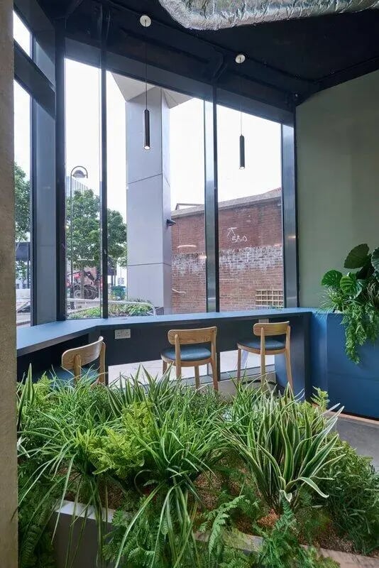 Chairs and plants by window communal area at Sheares Hall in Newcastle Upon Tyne Student Accommodation