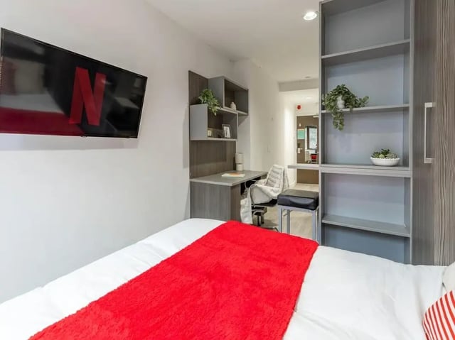 Bed desk TV shelves and plants bedroom at Centre Gate in Bristol Student Accommodation