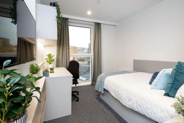 Bed desk plants and television bedroom at True Sheffield in Sheffield Student Accommodation