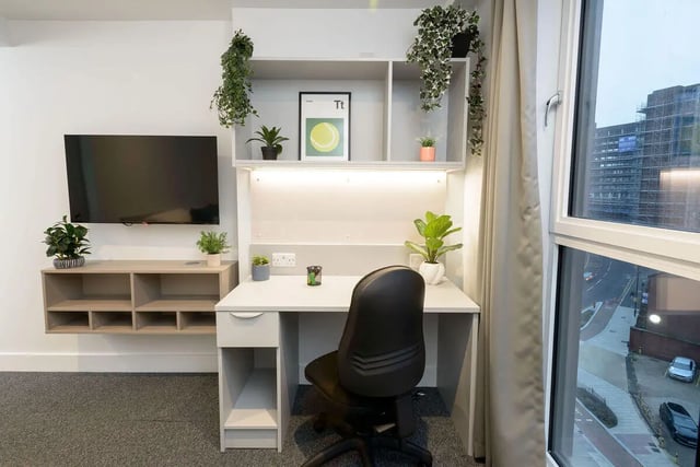 Desk shelves plants television study area at True Sheffield in Sheffield Student Accommodation