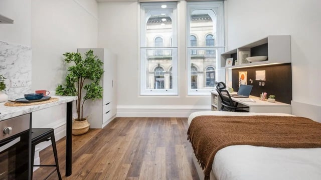 Bed desk plant and kitchen studio apartment at 26 Great George Street in Leeds Student Accommodation