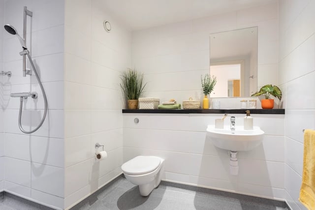Shower toilet sink mirror and plants bathroom at Shrubhill House in Edinburgh Student Accommodation
