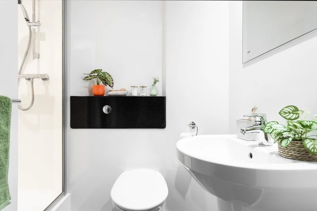 Shower toilet sink and shelf with plants bathroom at Shrubhill House in Edinburgh Student Accommodation