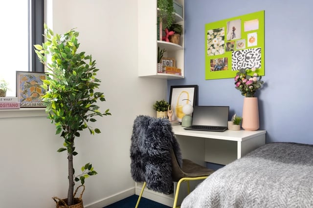 Desk with laptop fluffy chair plant bed Bedroom at Shrubhill House in Edinburgh Student Accommodation