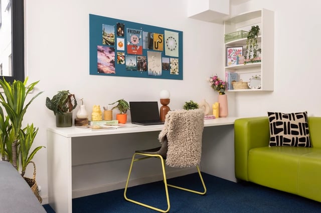 Desk with laptop plants and a fluffy chair study area at Shrubhill House in Edinburgh Student Accommodation