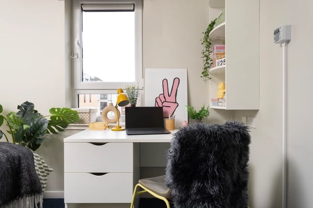 Desk lamp laptop plants and artwork Study Area at Murano House in Edinburgh Student Accommodation