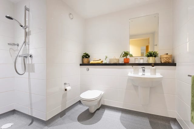 Shower toilet sink mirror plants bathroom at Murano House in Edinburgh Student Accommodation