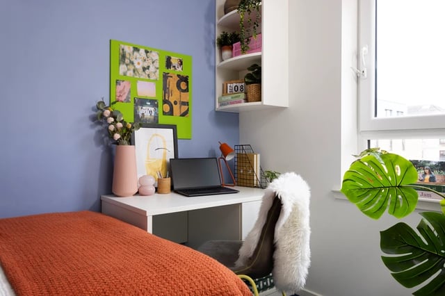 Desk with laptop and plants study area at Murano House in Edinburgh Student Accommodation