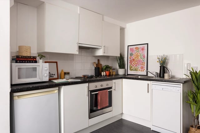 Microwave fridge oven dishwasher colorful artwork kitchen at Murano House in Edinburgh Student Accommodation