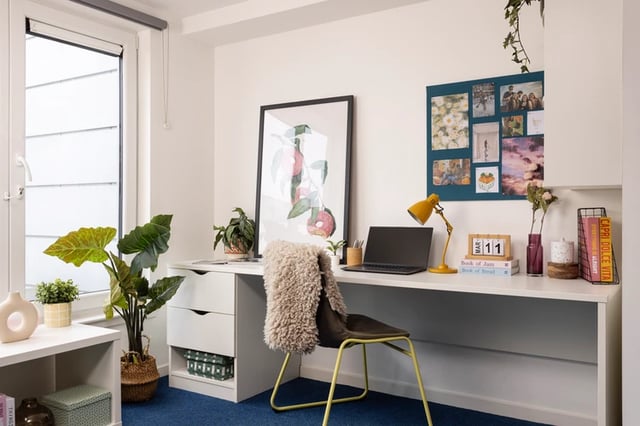 Desk laptop plants and picture study area at Murano House in Edinburgh Student Accommodation