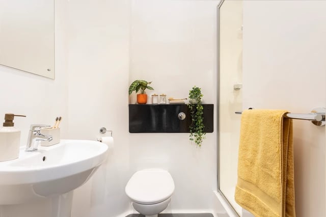 Sink toilet shower plants on shelf yellow towel bathroom at Murano House in Edinburgh Student Accommodation