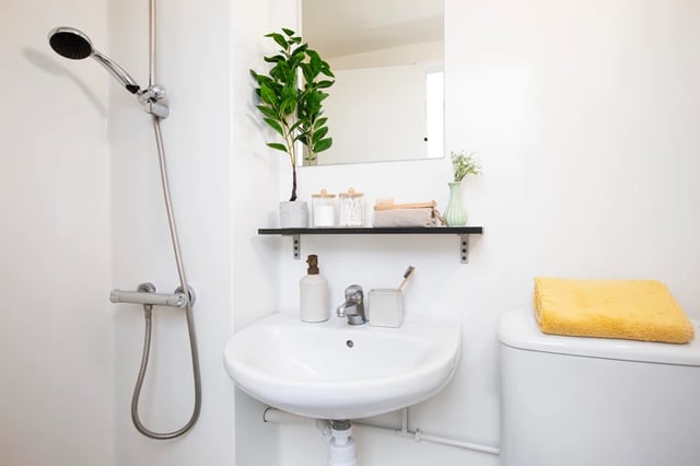 Shower sink mirror shelf with plant and towel bathroom at Ewen Henderson Court in London Student Accommodation