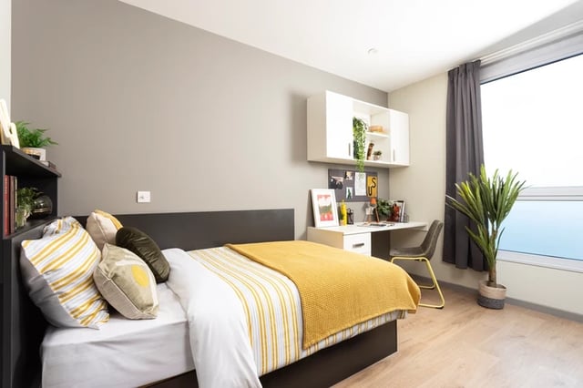 Bed desk shelves plant bedroom at Arch View House in London Student Accommodation