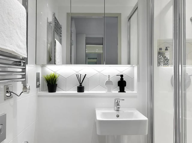 Sink plant soap dispenser reed diffuser bathroom at Student Castle Bath in Bath Student Accommodation