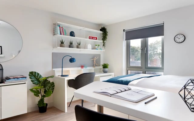Desk bed plant shelves mirror and clock bedroom at Student Castle Durham in Durham Student Accommodation