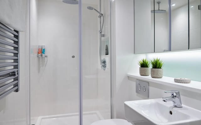 Shower sink mirror plants bathroom at Student Castle Durham in Durham Student Accommodation