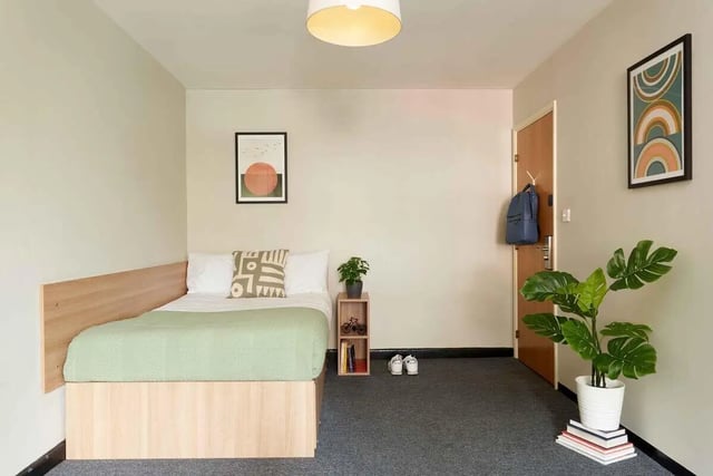 Bed with green blanket plant artwork and backpack bedroom at Transom House in Bristol Student Accommodation
