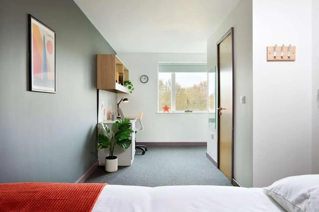 Desk plant framed art and orange blanket bedroom at Westwood Student Mews in Coventry Student Accommodation
