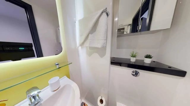 Sink towel plants and toilet roll bathroom at Opto village in Luton Student Accommodation
